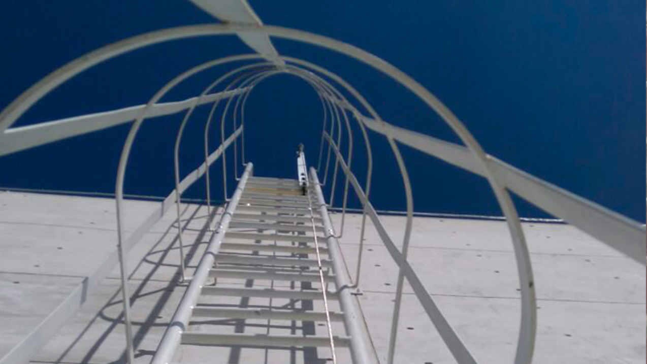 Proyecto 3 — imagen 1